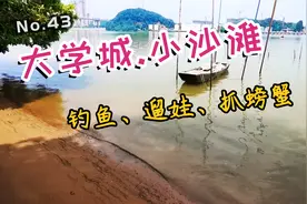 广州秘境-无人小沙滩，大学城郊游、钓鱼、拍拖、遛娃、捉螃蟹