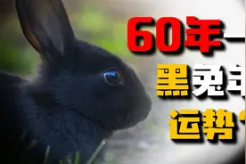 2023癸卯年是水兔年也叫黑兔年，60年轮回一次有什么特别之处吗？视频封面