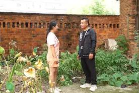 妹拿买婚房的钱支持哥创业，3年后哥还她半个养鸡场#财富小剧场#视频封面
