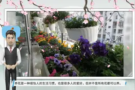 5种“剧毒花”，新手小白不要养，别花没养清楚，人还进了医院视频封面