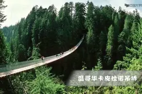 【中央财经大学】大学生心理学（下）：1.爱情的起源：生理因素视频封面