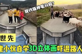 福建小伙画“3D立体画”太逼真，路人吓得腿直颤，羊群吓得急拐弯视频封面