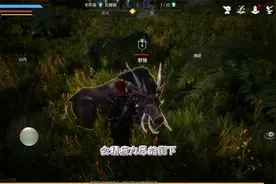 黑暗与光明手游-初级驯兽1，手把手教你把世界上的坐骑带回家~视频封面