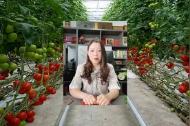 目前果蔬增产最强生物菌肥，膨果快、产量高，一遍顶10遍芸苔素视频封面