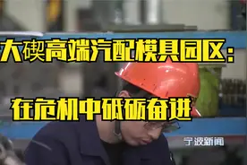 北仑大碶高端汽配模具园区：在危机中砥砺奋进视频封面