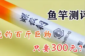 实测某宝销量第一的大物竿，9公斤都没能拉断，据说能钓百斤巨物视频封面