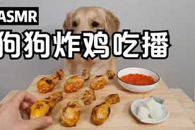 【Cat&Dog】自制炸鸡给狗狗吃~视频封面