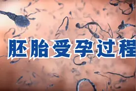 揭秘胚胎受孕过程，看完更要努力生活了！视频封面