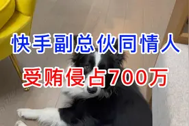 快手副总伙同情人，受贿侵占700万视频封面