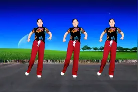 精选流行广场舞《弹棉花》《青蛙叫》《梅花三弄》魔性纯音乐版视频封面