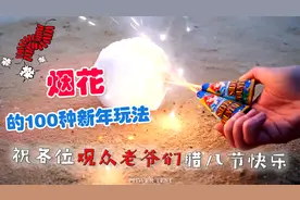 烟花的新年100种新玩法，学一学准备过大年喽视频封面