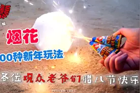 烟花的新年100种新玩法，学一学准备过大年喽视频封面