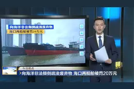 向海洋非法倾倒疏浚废弃物 海口两船舶被罚20万元视频封面