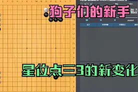 2020世界人工智能围棋赛：狗子们的新手二，星位点三3的新变化视频封面