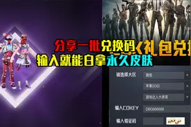 分享一批CDK兑换码！输入就能获取永久皮肤？视频封面