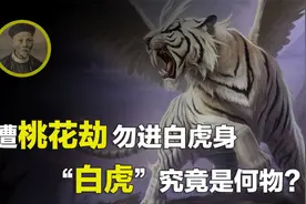 “白虎”究竟是何物？为何清朝首富告诫子孙，千万不要接近白虎？视频封面