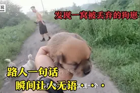 路边发现一窝被丢弃的狗崽，旁人的一句好心提醒，瞬间让人无语！视频封面