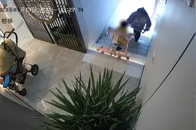 宝宝摔下楼梯瞬间被大姐接住，妈妈：第二天看监控很后怕视频封面