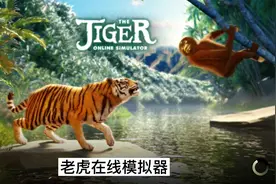 老虎在线模拟器：模拟养成手游，无聊的时候可以盘一会！视频封面