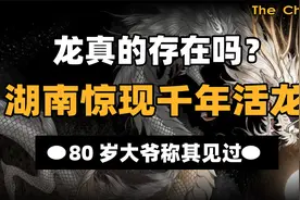 龙真的存在吗？湖南惊现千年活龙，80岁大爷称其见过视频封面