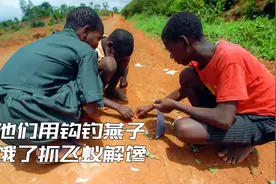 走进马拉维：他们用自制钩子钓空中的飞燕，平时会吃飞蚁解馋视频封面