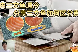 由三文鱼遇冷 分享三文鱼如何区分真假视频封面