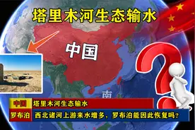 塔里木河生态输水，西北诸河上游来水增多，罗布泊能因此恢复吗？视频封面