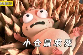 小仓鼠为了变成孔雀，疯狂投胎转世，可惜投胎是门技术活！视频封面