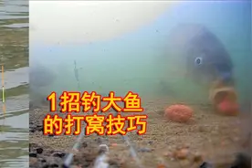 1招钓大鱼的打窝技巧，不试你就亏了！视频封面