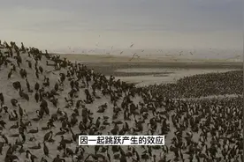 如果全球70亿人同时跳起来，地球将会发生什么？视频封面