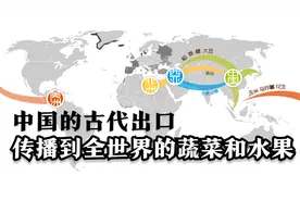 传播到世界的中国粮食: 不仅仅是大豆 还有这些视频封面