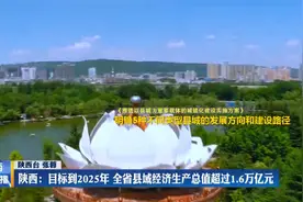 陕西：目标到2025年 全省县域经济生产总值超过1.6万亿元视频封面