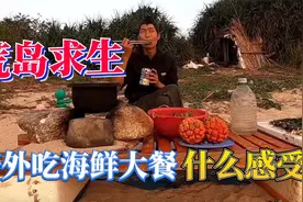 中国荒岛求生男性第一人，挑战原始荒岛生存100天，海鲜大餐篇视频封面