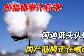 新疆棉事件后续！阿迪低头认错！国产品牌正在崛起！视频封面