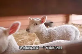 动物精液量对比最多的是谁视频封面