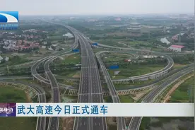 武大高速今日正式通车视频封面