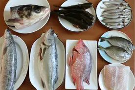 年夜饭做全鱼宴，8种鱼8种做法，好吃好看，寓意“年年有余”视频封面