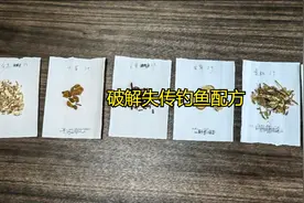 破解失传已久的野钓鲤鱼药酒配方，天天都能爆护视频封面