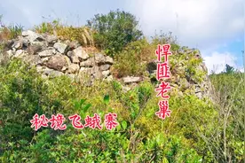 福建悍匪郭楼古老巢飞蛾寨：虎哥两天绕道40公里，大家觉得值吗？视频封面