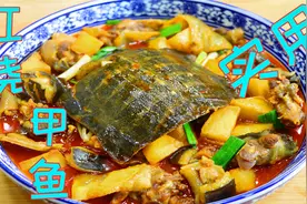 甲鱼不要只会炖汤了，试试四川这个特色做法，家常开胃好吃到爆视频封面