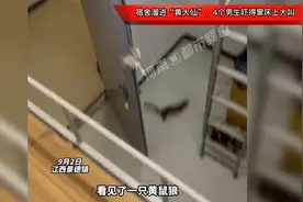 宿舍溜进“黄大仙”，4个男生吓得窜床上大叫：赶了一小时才出去视频封面