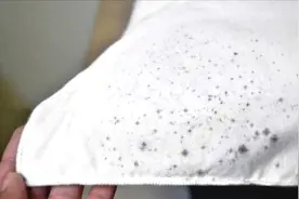 衣服上长“霉斑”不用扔，用这种水泡一泡，霉斑立马全消失，真棒视频封面