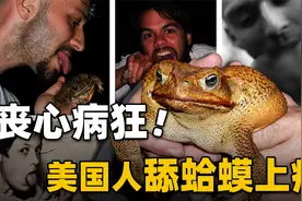 癞蛤蟆成新型廉价毒品，美国青年舔上瘾了，人吸了以后会怎样？视频封面