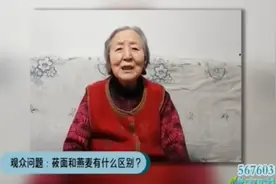 莜面和燕麦有什么区别，糖尿病人可以食用么？专家为您详细解答视频封面