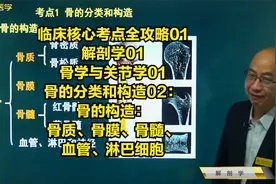 临床01解剖学：骨的构造：骨质、骨膜、骨髓、血管、淋巴细胞视频封面