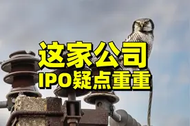 背靠宁德时代，产能利用率却不满70%，尚太科技IPO疑点重重视频封面