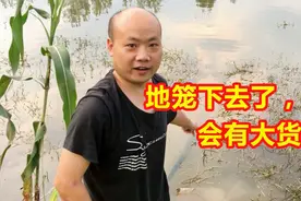 新买的地笼到了用菜籽饼做诱饵 下水捕龙虾黄鳝 会有好的收获吗视频封面