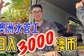 蓝领天花板，澳洲水管工一天净赚3000澳币视频封面