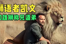和狮子称兄道弟的男人 狮语者凯文把雄狮当大猫来撸视频封面
