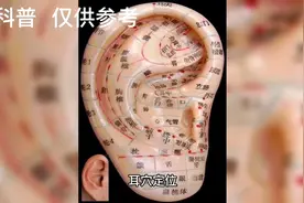 带您认识耳穴